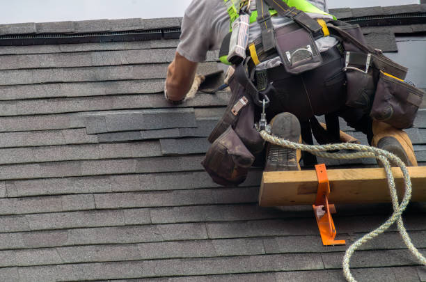 Best Storm Damage Roof Repair  in Golden Triangle, NJ