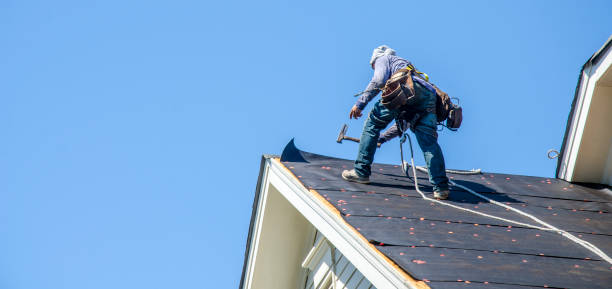 Best Gutter Installation and Roofing  in Golden Triangle, NJ